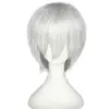 wig